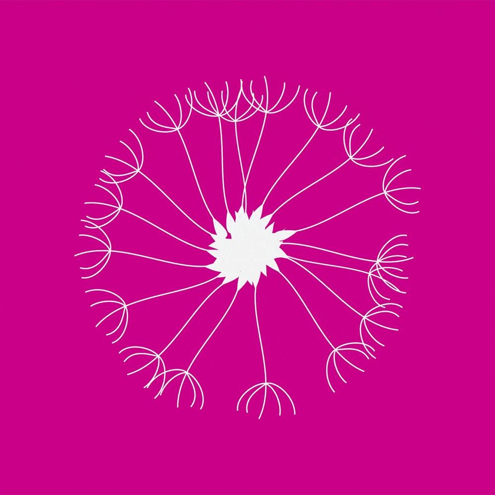Animated logo of Gownoburza white dandelion on a pink background